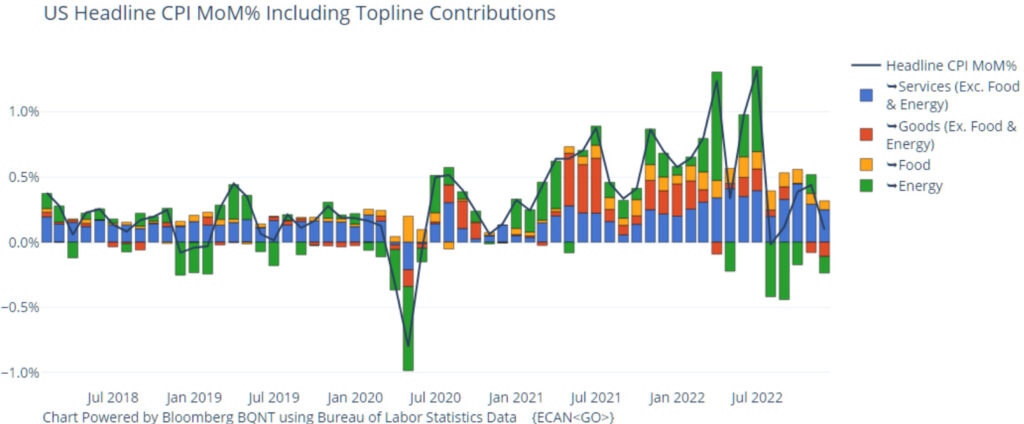 CPI USA novembre contributo mensile categorie